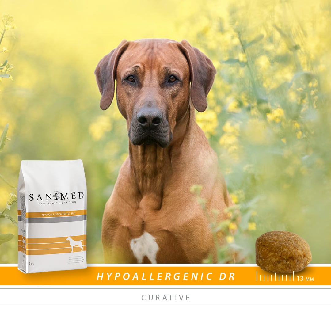 Sanimed Hypoallergenic DR Hundefutter-2